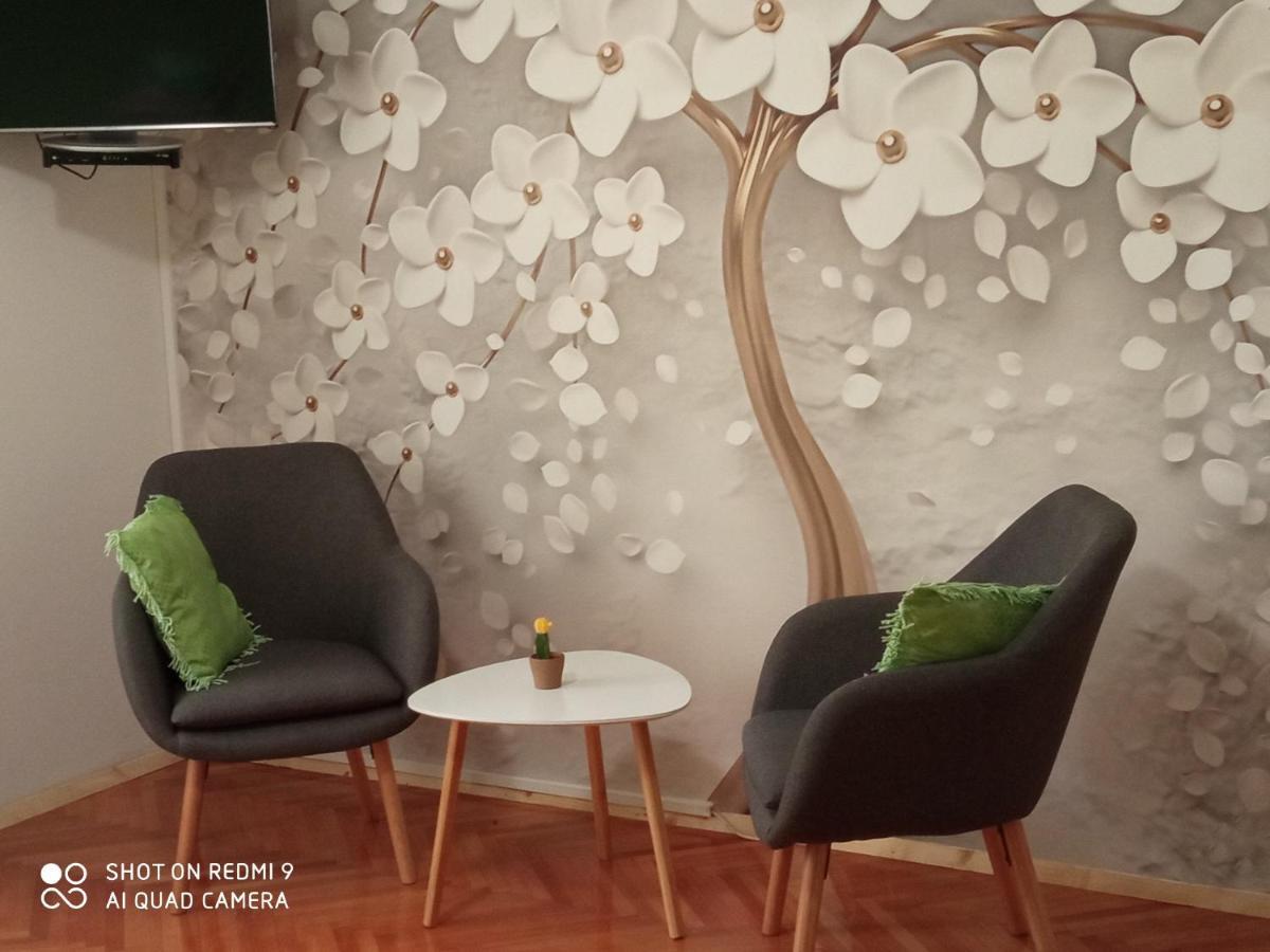 Studios Ana Mari Komiža Værelse billede